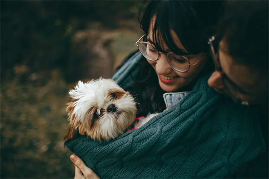 Quanto vive una cincillà? Scopri i segreti per una vita lunga e felice